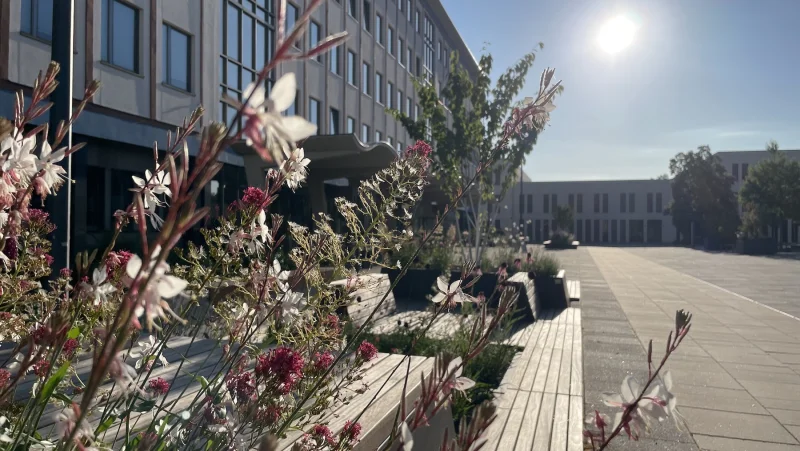 Möblierung und Bepflanzung Campus Sporthochschule