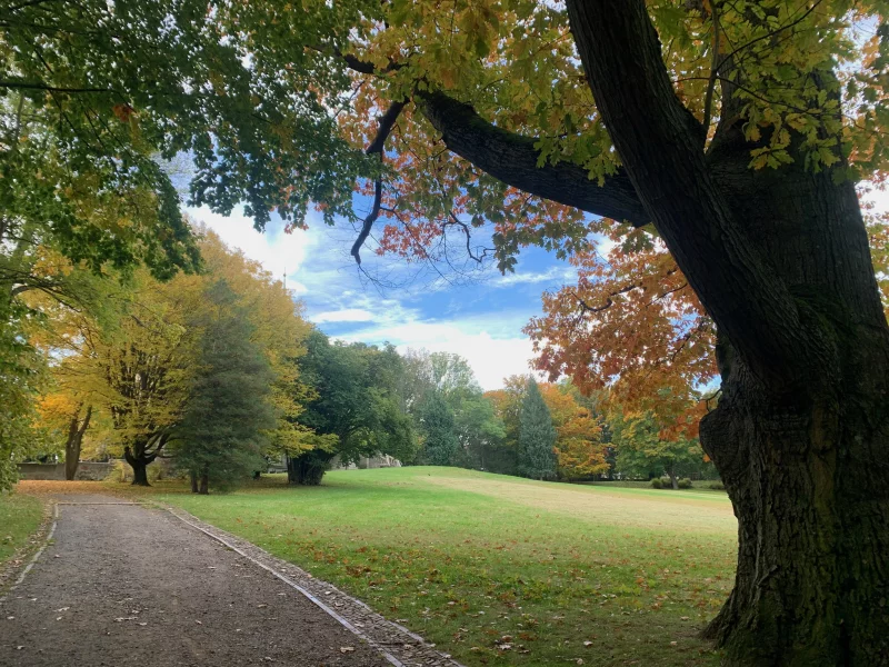 DZ Schlosspark Altenburg